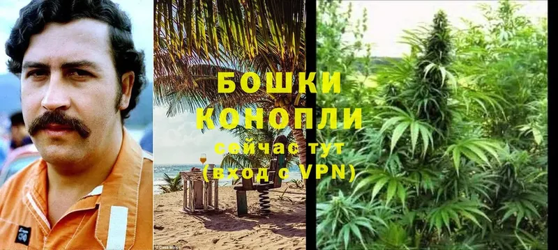 Шишки марихуана SATIVA & INDICA  Гай 